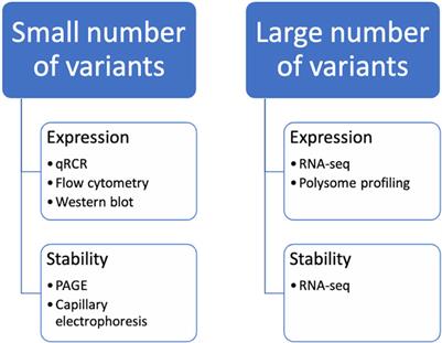 Codon-optimization in gene therapy: promises, prospects and challenges